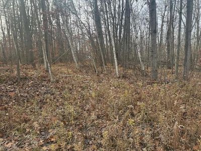 W Shore Dr, Weidman, MI, 48893