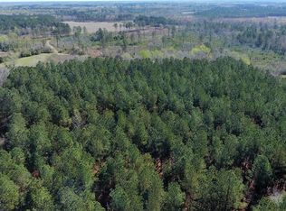 1310 Capers Corena Rd, Manning, SC 29102