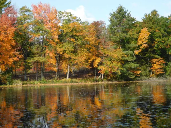 W606 Joe Johnson Rd, Suring, WI 54174