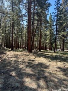 687-635 Maple Way, Susanville, CA, 96130