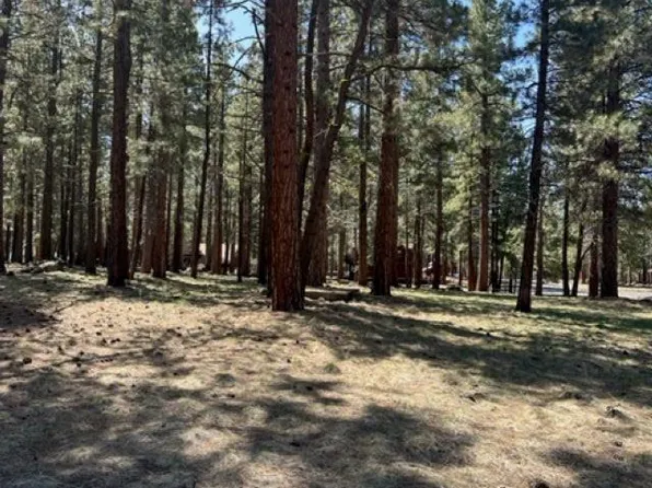 687-635 Maple Way, Susanville, CA 96130