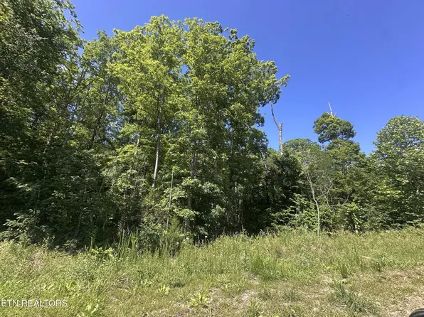1020 Tomahawk Rd Lot 37, Jamestown, TN 38556