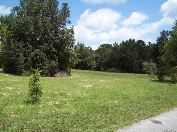 6393 N Pagoda Tree Ter, Hernando, FL 34442