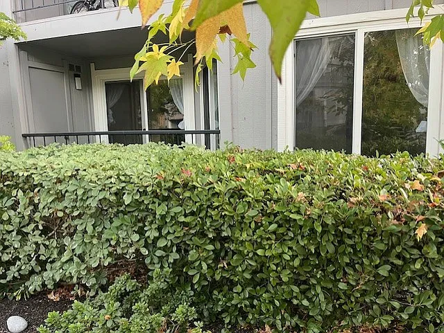 1530 Sunnyvale Ave #1 — Photo 16