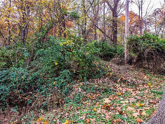 3rd image of 12997 Puppy Creek Rd