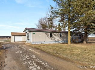 5432 Palmer Rd, Belding, MI 48809