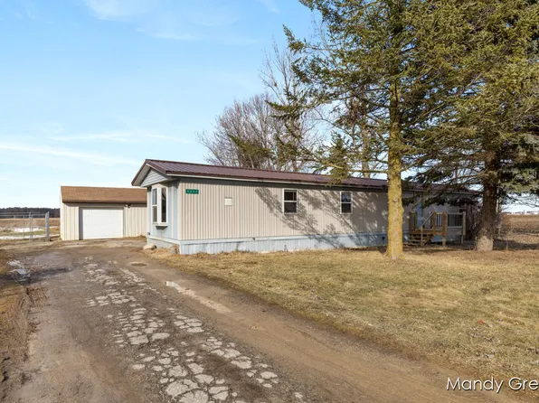 5432 Palmer Rd, Belding, MI 48809