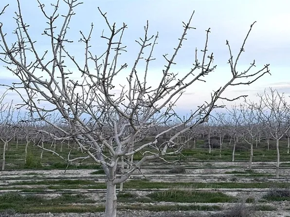 0 Road 56, Alpaugh, CA 93201