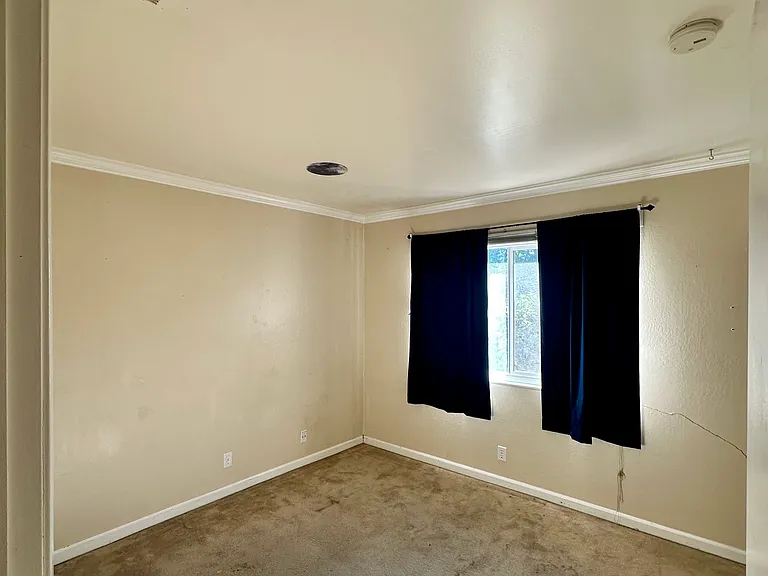 1805 Cork Pl — Photo 5