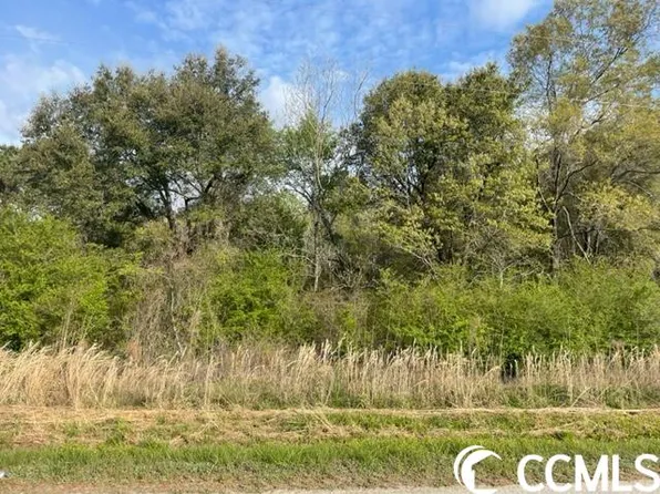 TBD Nebo Rd., Gresham, SC 29546