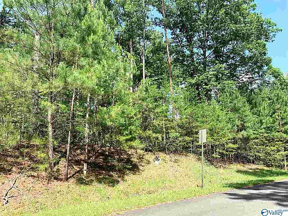 3rd image of 0 County Road 216 #33