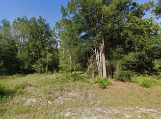 Locust Run Radl LOT 3, Ocala, FL 34472