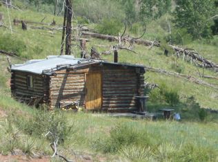 16277 Pine Valley Rd, Pine, CO 80470