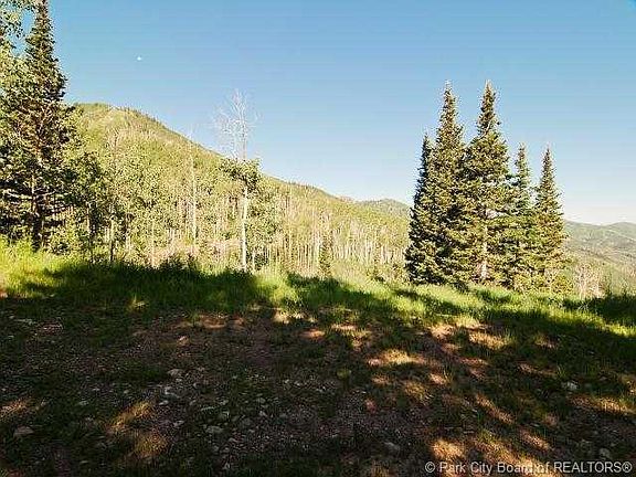 2nd image of 206 White Pine Canyon Rd #206