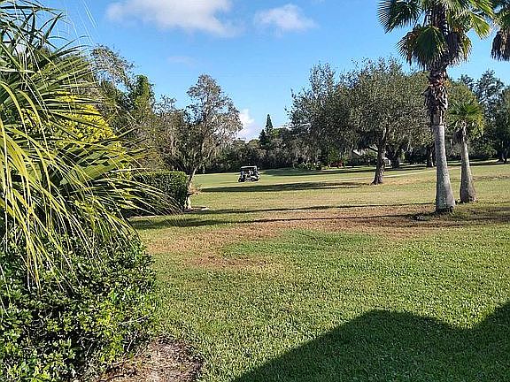 Golf Course Views 