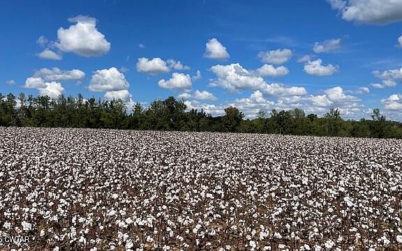 5th image of 0 Christmasville Rd