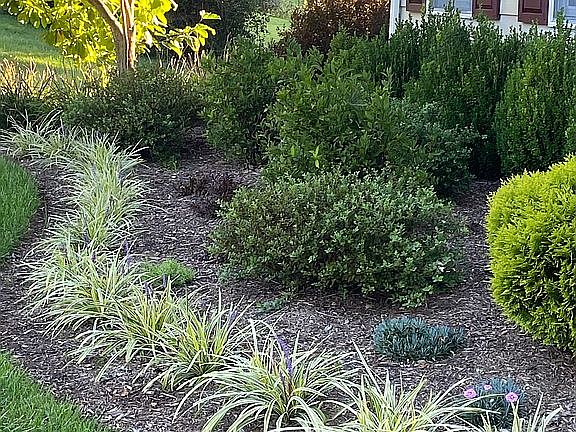 2nd image of 3889 Maryland Manor Dr