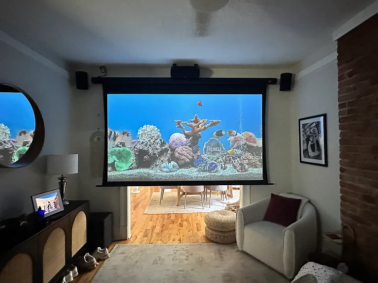 120" projector screen - will be staying