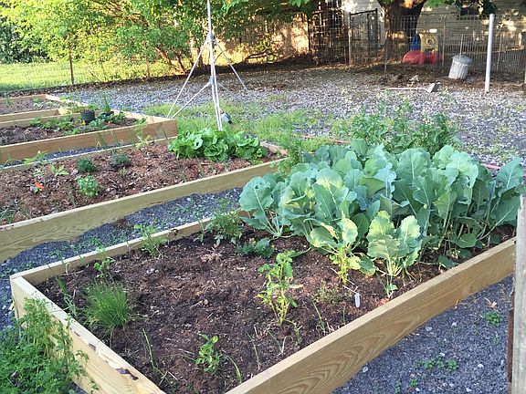 RAISED BEDS