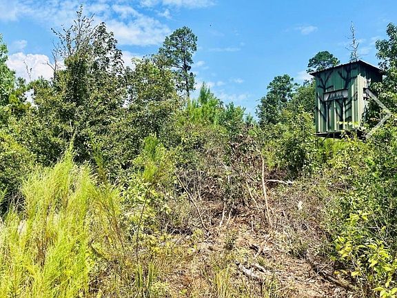 5th image of 9 Nine Bridges Rd