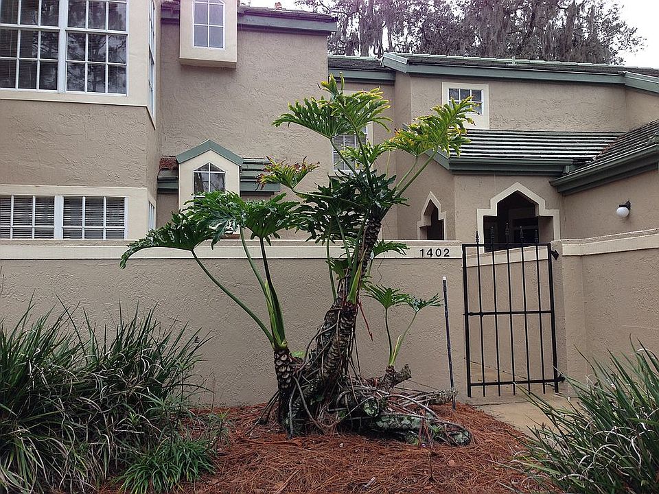 1st image of 1402 Farrindon Cir