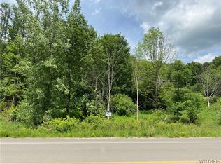 0 Maples Rd #12, Little Valley, NY 14755