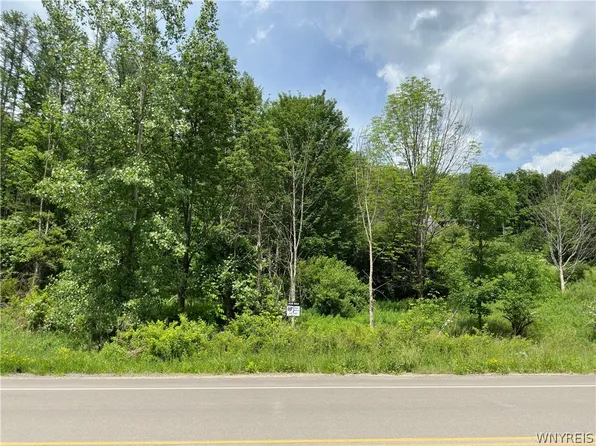 0 Maples Rd #12, Little Valley, NY 14755