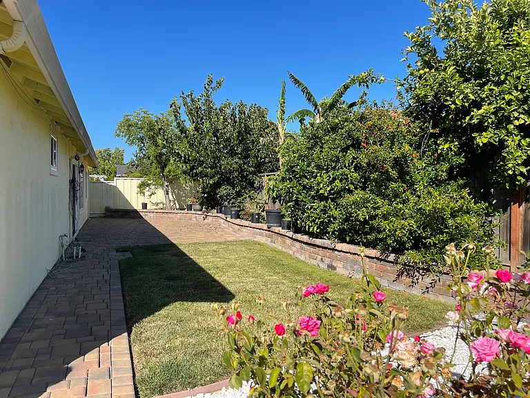 33765 Shallow Ct — Photo 10