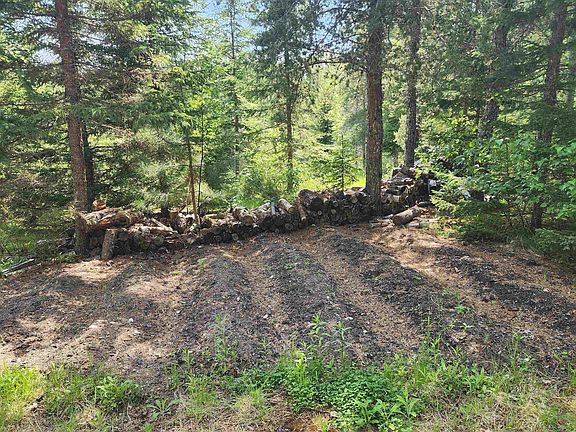 5th image of 342 Reid Settlement Rd