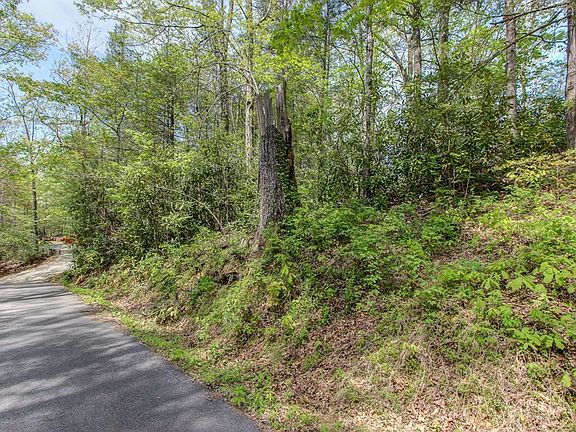 5th image of 42 Ownby Dr Lot 42
