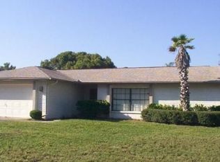 3905 Santee Way, Valrico, FL 33596