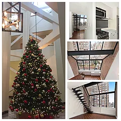 Rented by Citi Habitats