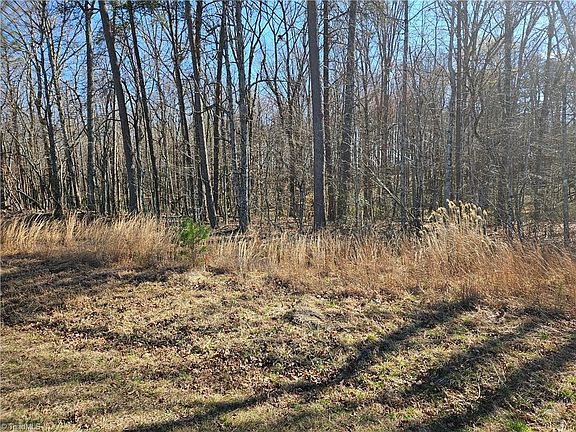 4th image of 0 Locust Grove Rd #4