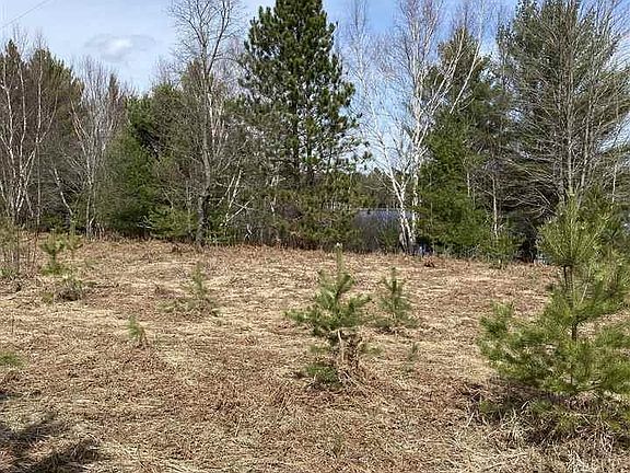 3rd image of 28 Lakes Park Pioneer Dr