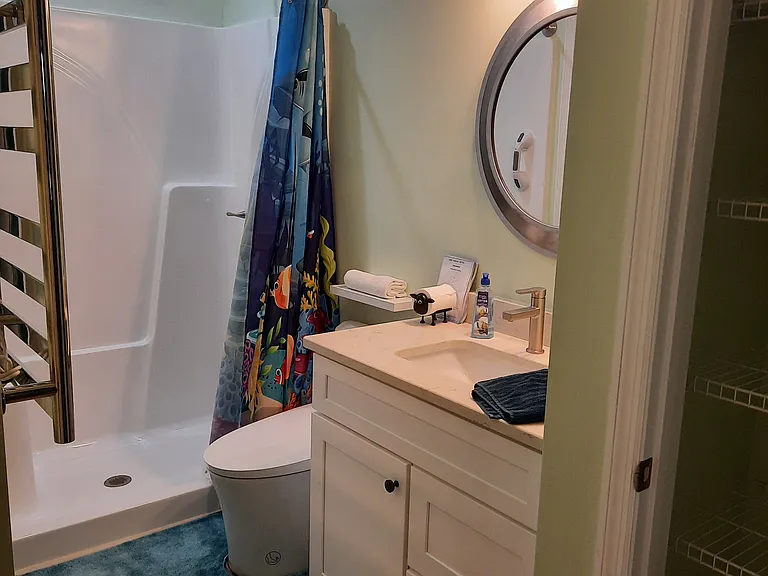 Standing shower, closet in bathroom.