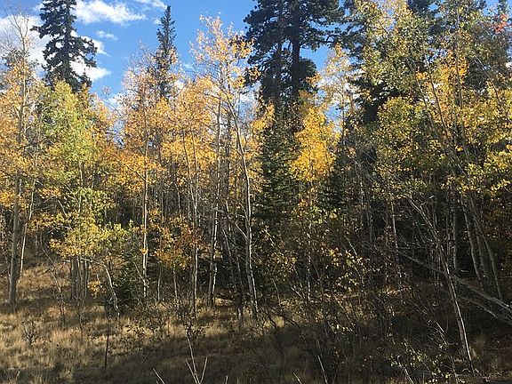 2nd image of 346 Tatanka Trl #Mus
