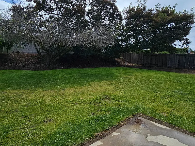1406 Oak Knoll Rd — Photo 47
