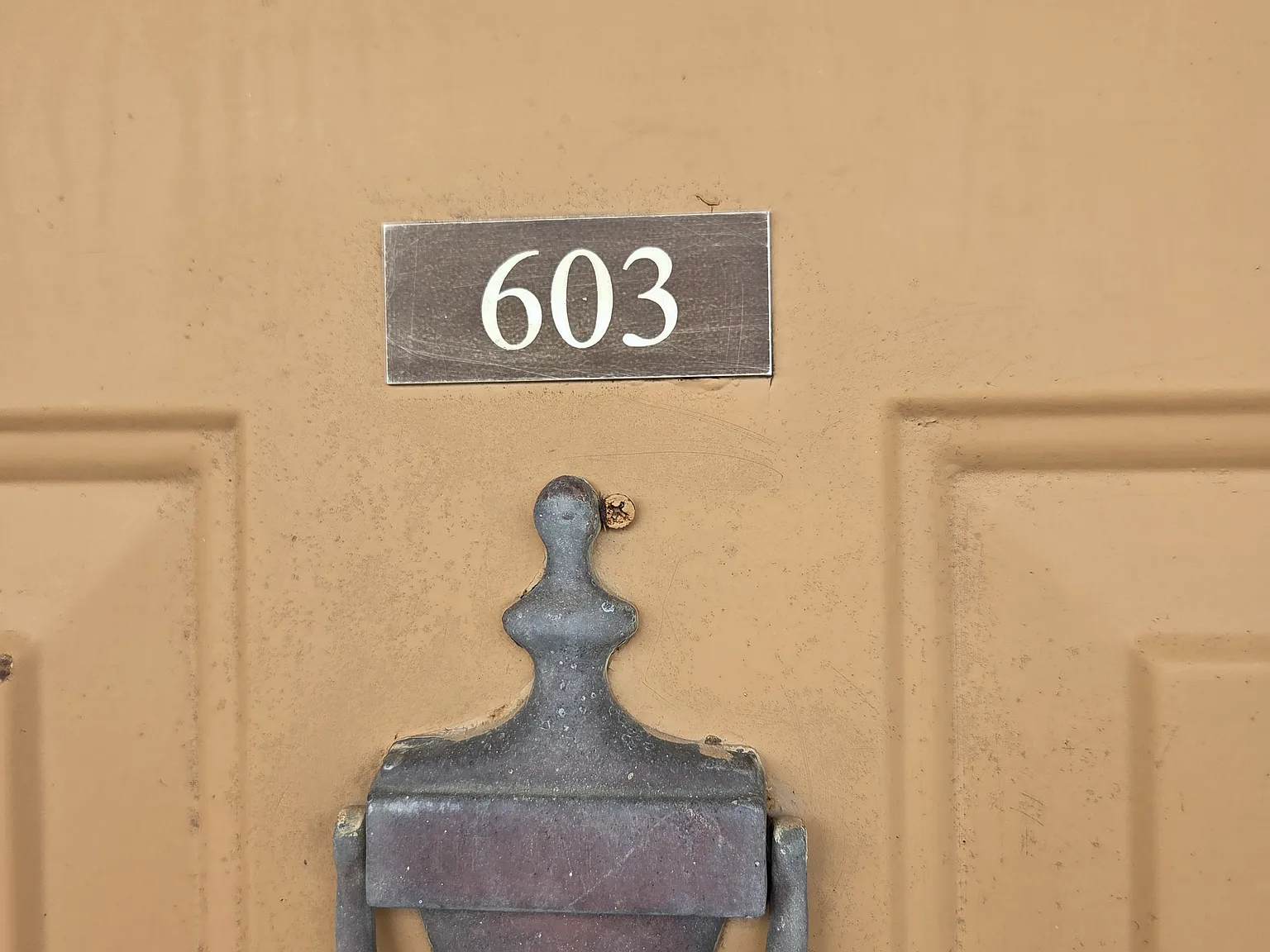 1 bed, 1.5 bath, 900 sqft, $1,850 — Photo 2