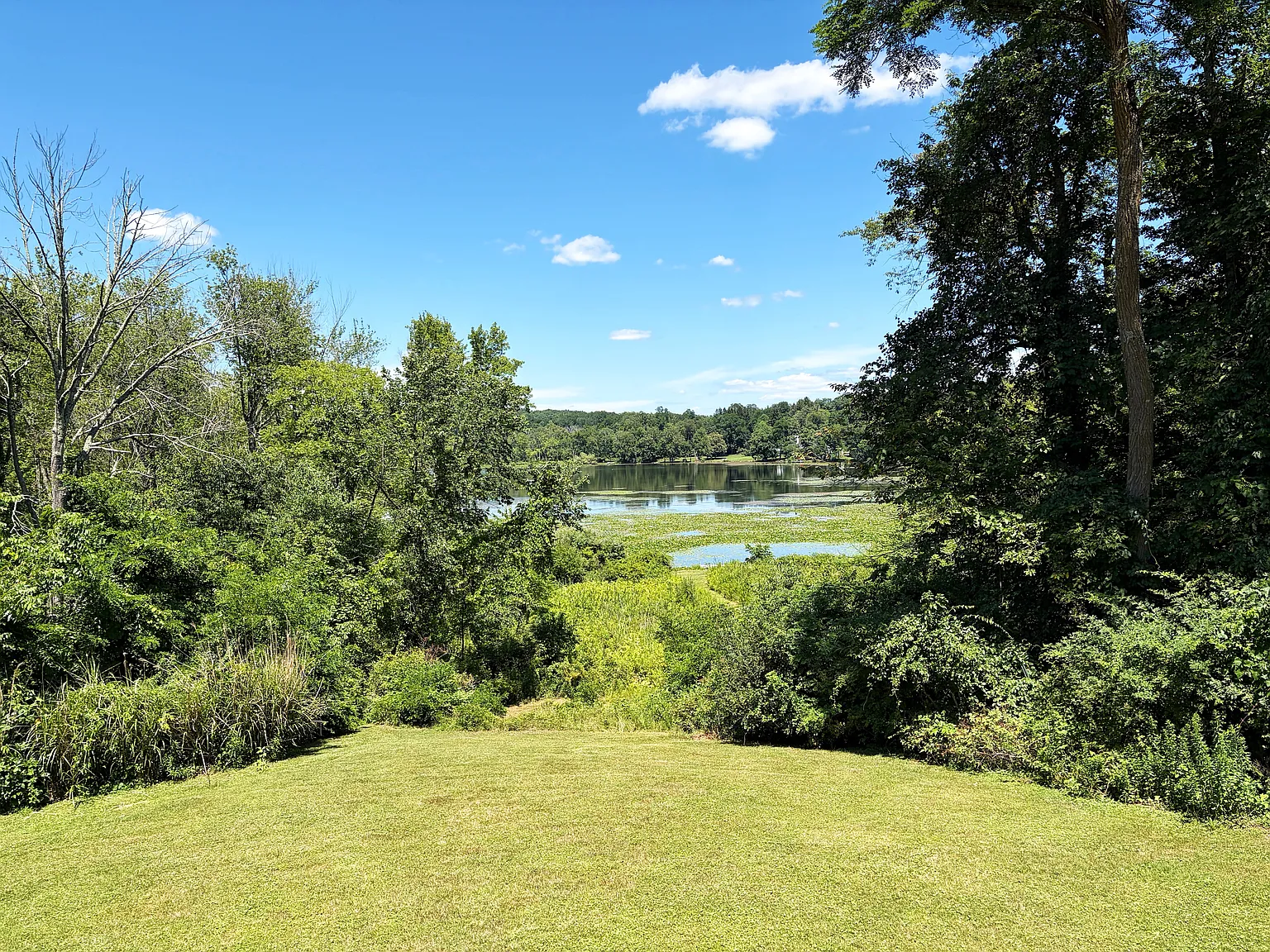 3 bed, 2922 sqft, $7,000 — Photo 4