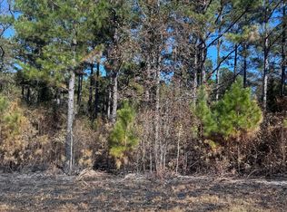 137 W Drummond Rd, West Pt, GA 31833