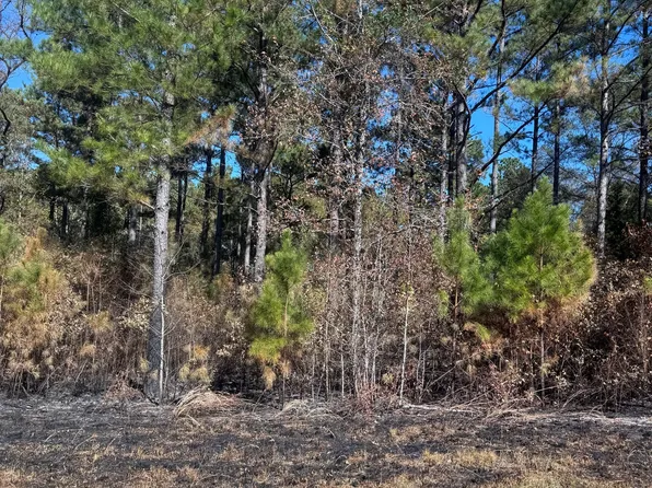 137 W Drummond Rd, West Pt, GA 31833