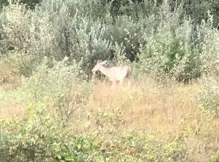 Potts Ck, Paint Bank, VA 24131