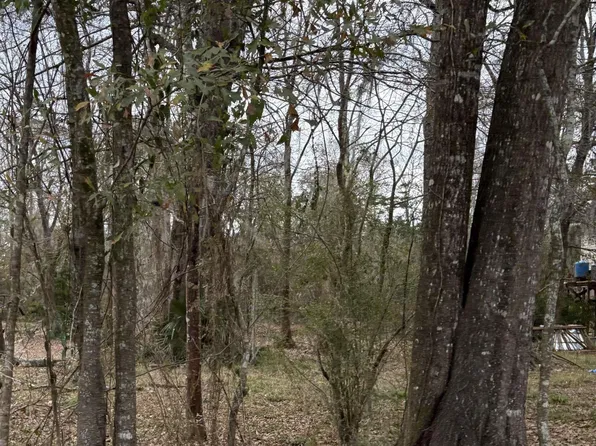 Amite River Rd, Baton Rouge, LA 70817