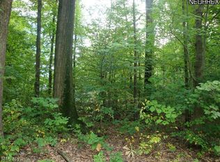 County Line Rd, Geneva, OH 44041