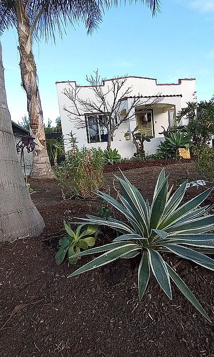 Window trim and paint 2020