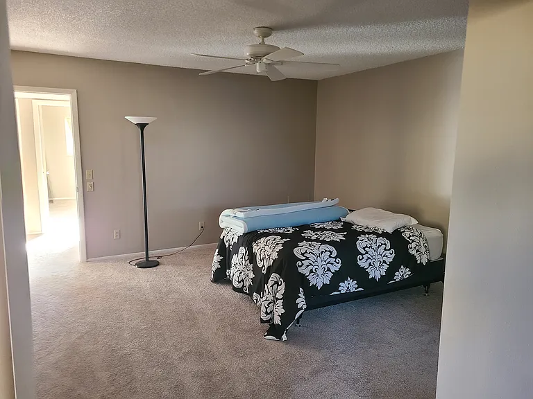 2402 Ecuadorian Way — Photo 9