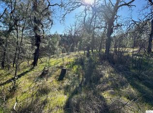 7285 Bluebird Rd, Corning, CA 96021