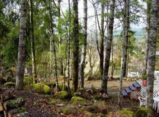 144 Powerhouse Rd, Packwood, WA 98361