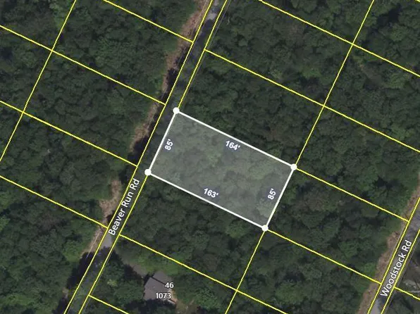 42 Beaver Run Rd, Newfoundland, PA 18445