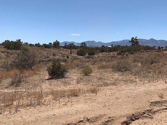 4th image of 10651 Pueblo Trl